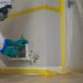 Mold Remediation Company In Florida